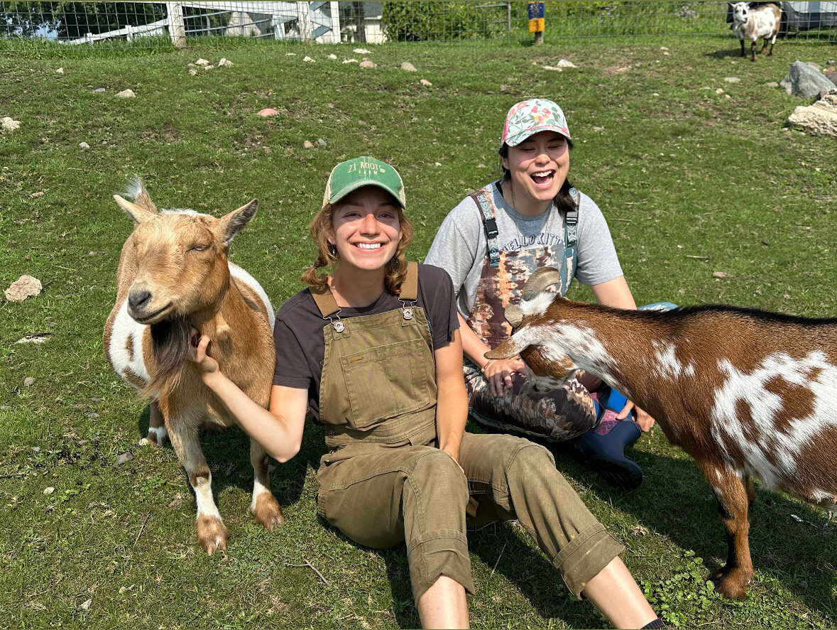 Two people smile with glee as they pet goats